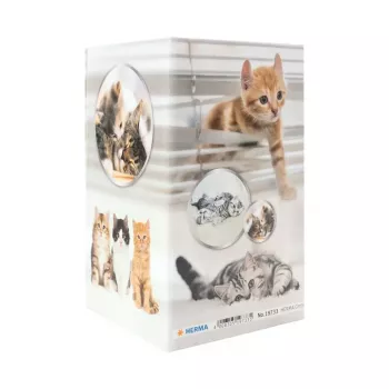 Pencil holder HERMA 19733 Cat Design stylish and functional