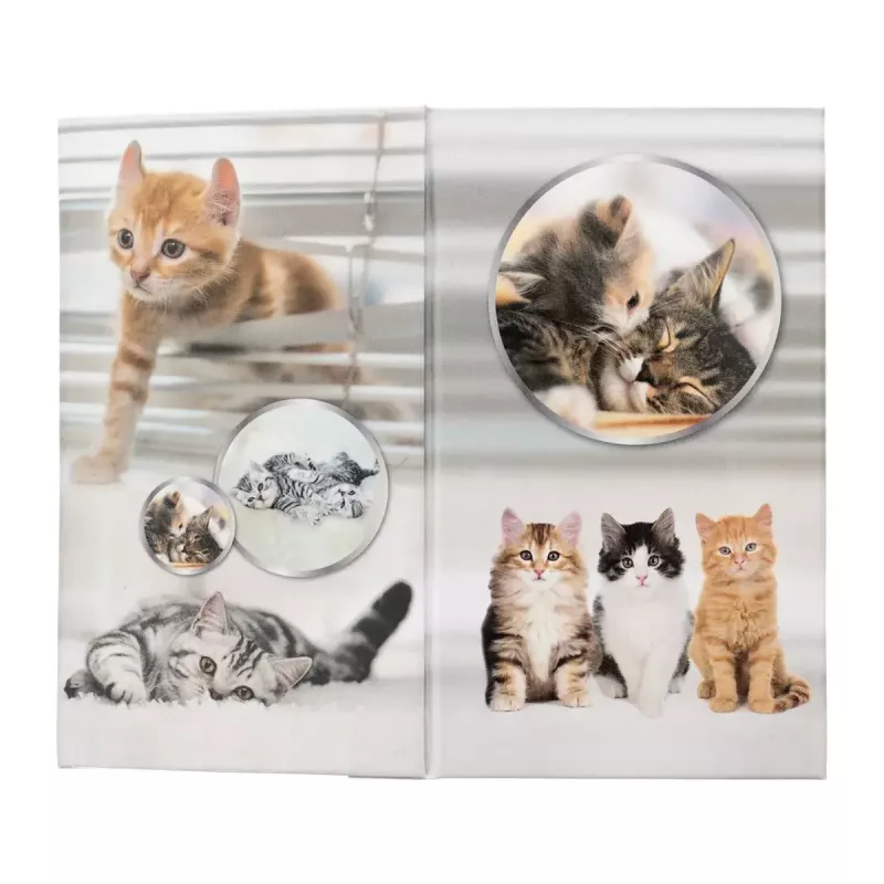 Pencil holder HERMA 19733 Cat Design stylish and functional