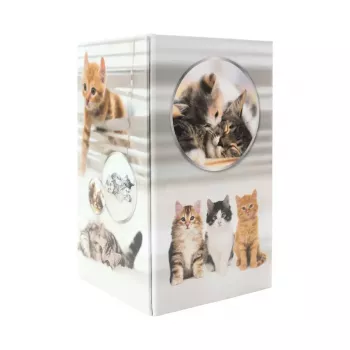 Pencil holder HERMA 19733 Cat Design stylish and functional