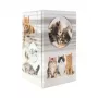 Pencil holder HERMA 19733 Cat Design stylish and functional