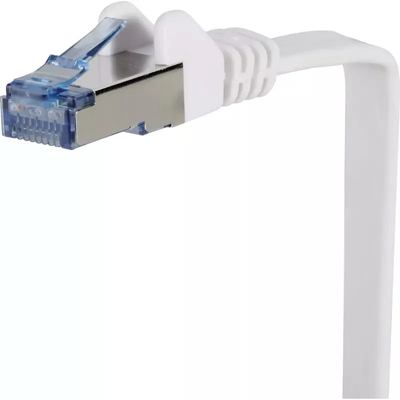 Networking Cable Renkforce RF-4149837 0.5m Cat6a U/FTP