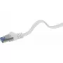 Networking Cable Renkforce RF-4149837 0.5m Cat6a U/FTP