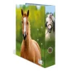 Ring binder A4 Herma 20097 — cardboard storage folder, A4 format, single pack