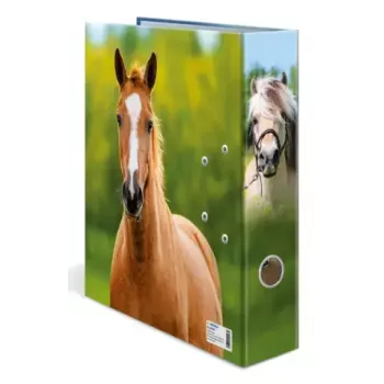 Ring binder A4 Herma 20097 — cardboard storage folder, A4 format, single pack