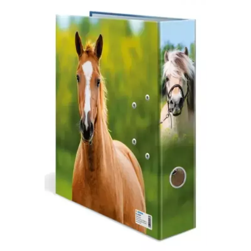 Ring binder A4 Herma 20097 — cardboard storage folder, A4 format, single pack