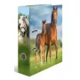 Ring binder A4 Herma 20097 — cardboard storage folder, A4 format, single pack