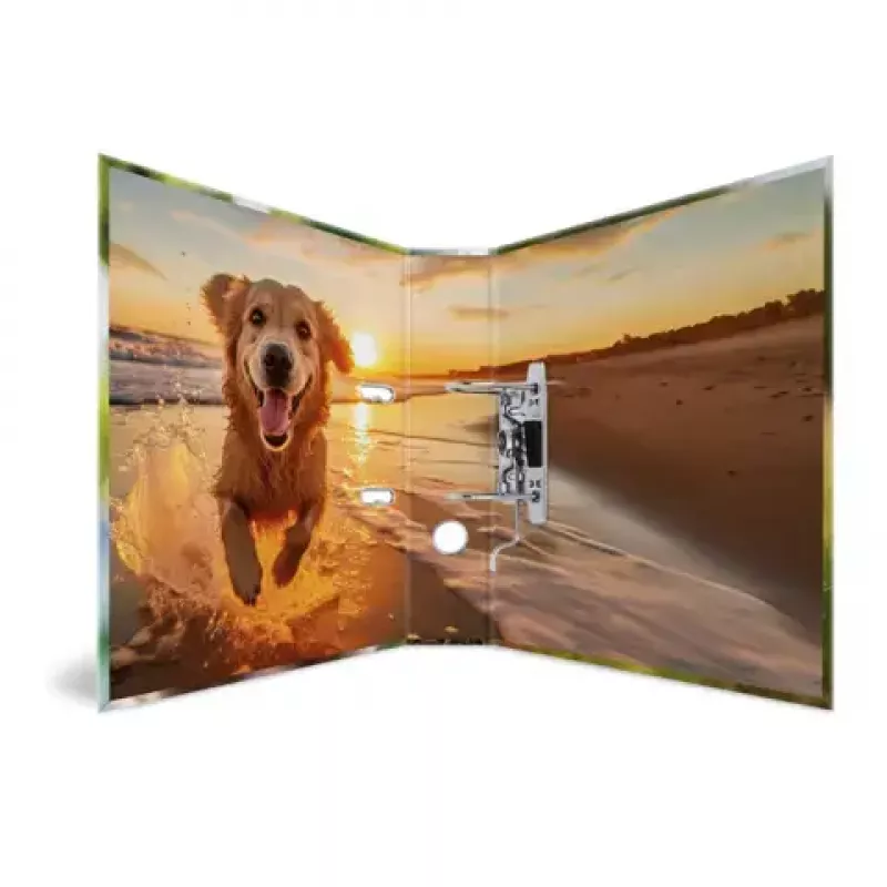 Ring binder A4 Herma 20098 — cardboard, A4 format, 1 piece, multicolour