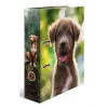 Ring binder A4 Herma 20098 — cardboard, A4 format, 1 piece, multicolour