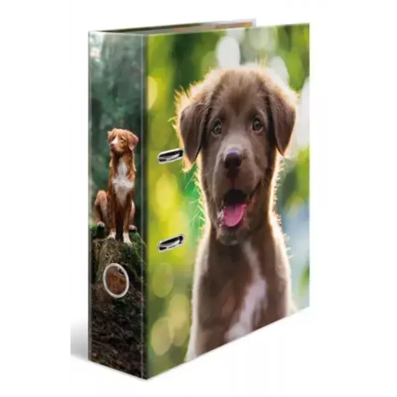Ring binder A4 Herma 20098 — cardboard, A4 format, 1 piece, multicolour