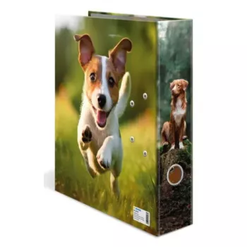 Ring binder A4 Herma 20098 — cardboard, A4 format, 1 piece, multicolour