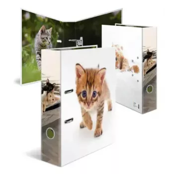 Ring binder Herma 20099 — A4 cardboard folder for storage, multicolour, 1 pc