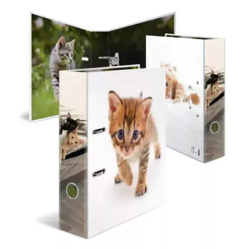 Ring binder Herma 20099 — A4 cardboard folder for storage, multicolour, 1 pc