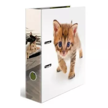 Ring binder Herma 20099 — A4 cardboard folder for storage, multicolour, 1 pc