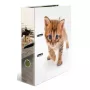Ring binder Herma 20099 — A4 cardboard folder for storage, multicolour, 1 pc