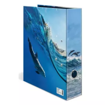 Ring binder Herma 20100 A4 cardboard, multicolour, 1 pc