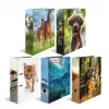 Ring binder Herma 20101 A4 cardboard, multicolour, 1 pc