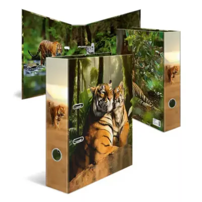Ring binder Herma 20101 A4 cardboard, multicolour, 1 pc