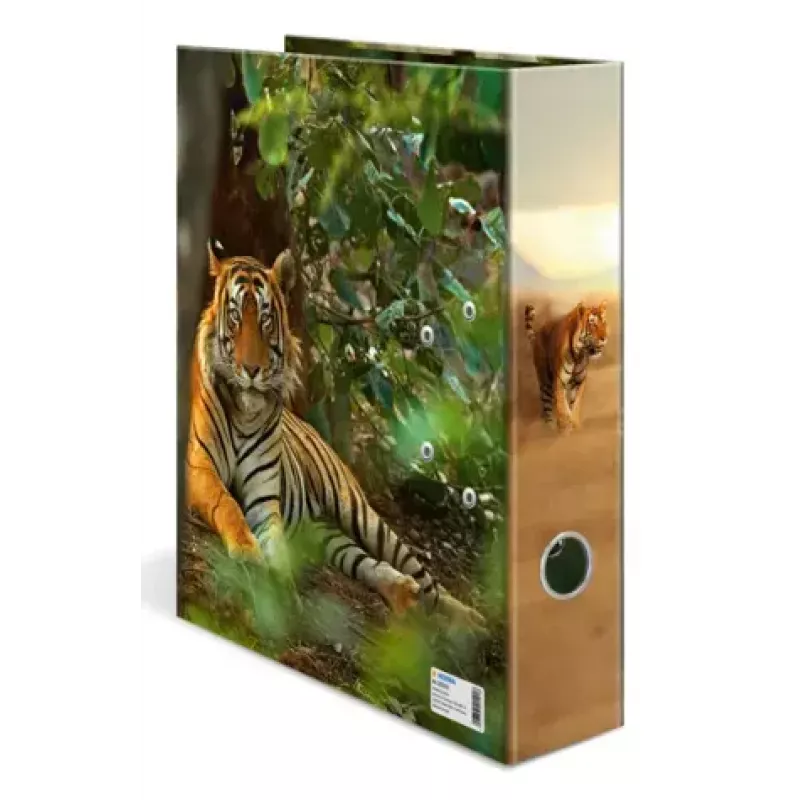 Ring binder Herma 20101 A4 cardboard, multicolour, 1 pc