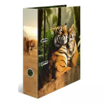 Ring binder Herma 20101 A4 cardboard, multicolour, 1 pc