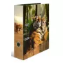 Ring binder Herma 20101 A4 cardboard, multicolour, 1 pc