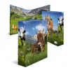 Ring Binder A4 Herma 20140, cardboard, A4 format, single-piece, multicolour