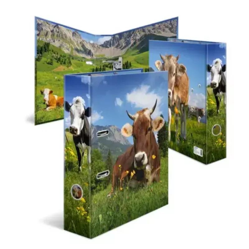 Ring Binder A4 Herma 20140, cardboard, A4 format, single-piece, multicolour