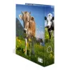 Ring Binder A4 Herma 20140, cardboard, A4 format, single-piece, multicolour