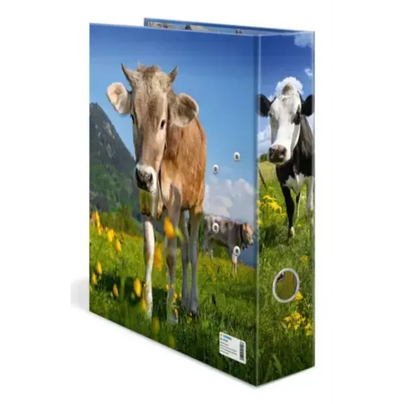 Ring Binder A4 Herma 20140, cardboard, A4 format, single-piece, multicolour