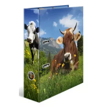 Ring Binder A4 Herma 20140, cardboard, A4 format, single-piece, multicolour