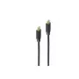 USB Cable ShiverPeaks BS20-70035 2m USB 3.2 Gen 2 USB C Black
