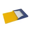 Box File Oxford 100200360