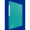 Box File Oxford 100200360