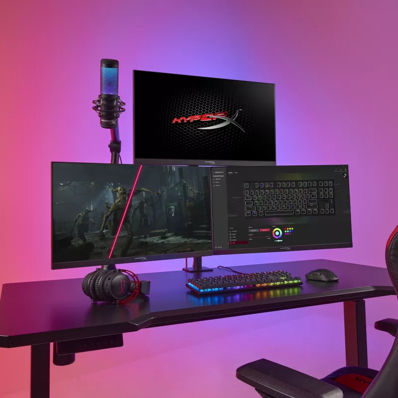 HyperX Armada 25 FHD Gaming Monitor