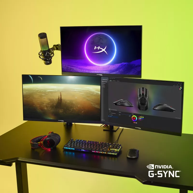 HyperX Armada 25 FHD Gaming Monitor