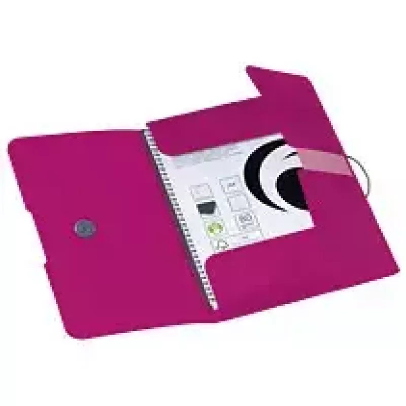 Folder Herlitz 11216538 Polypropylene (PP) Pink