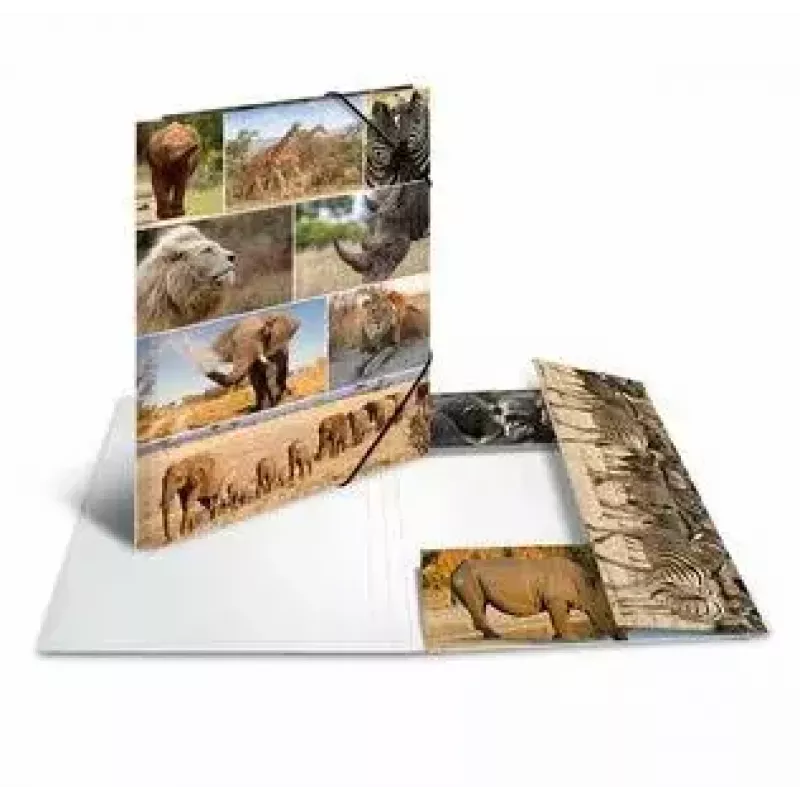 Folder Cardboard HERMA 19222 A3 Multicolour