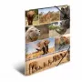 Folder Cardboard HERMA 19222 A3 Multicolour