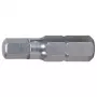 Screwdriver Bit KS Tools 910.2259 Hex Stainless Steel 25mm