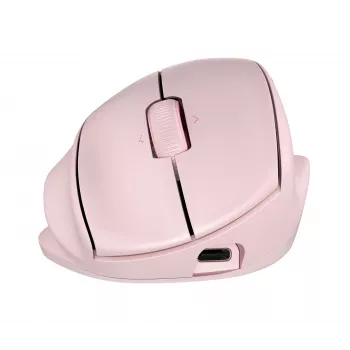 HP Tilt Ergo PNK MSE 720M EMEA-INTL EN L mouse