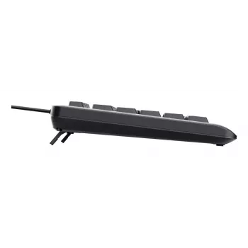 Trust Primo Beleuchtete keyboard Home/Office USB QWERTY US English Black
