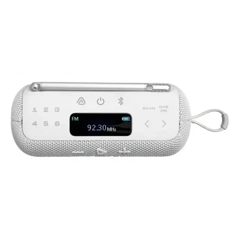 Portable Radio JBL Tuner 2 Black Analog Digital DAB FM