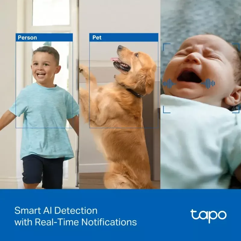 TP-LINK Tapo C250 | Pan/Tilt AI Home Security Wi-Fi Camera | PTZ | 8 MP | 4mm/F1.6 | H.265 | MicroSD Card up to 512 GB