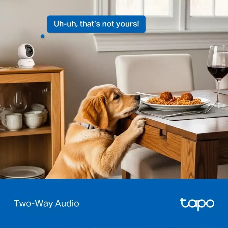 TP-LINK Tapo C250 | Pan/Tilt AI Home Security Wi-Fi Camera | PTZ | 8 MP | 4mm/F1.6 | H.265 | MicroSD Card up to 512 GB