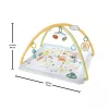Fisher-Price Sensimals Simply Senses Newborn Gym Baby Activity Mat with 6 Sensory Toys