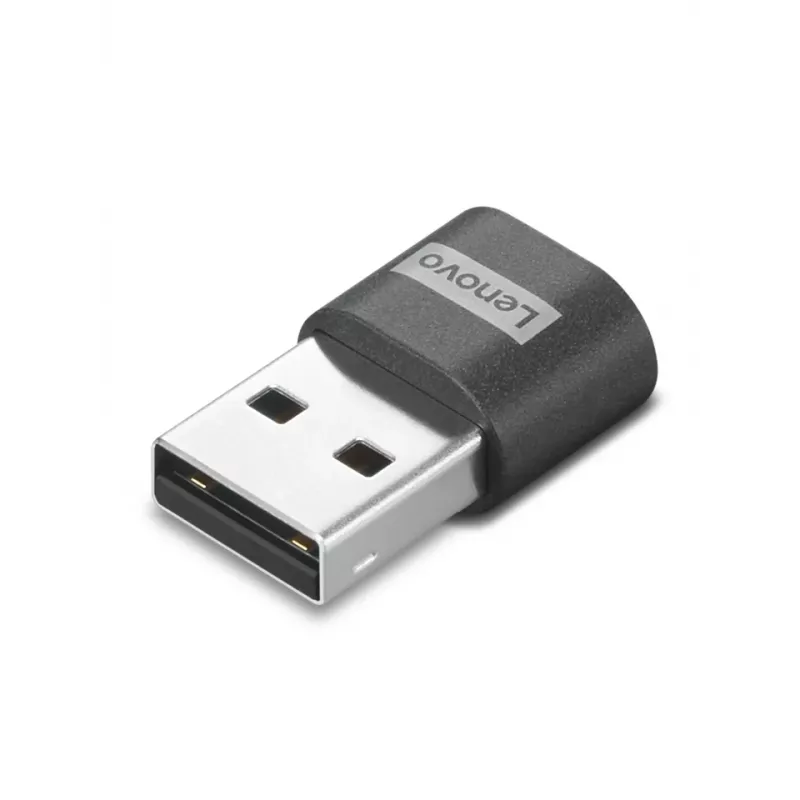 Lenovo 4X91C99226 cable gender changer USB-C USB-A Black