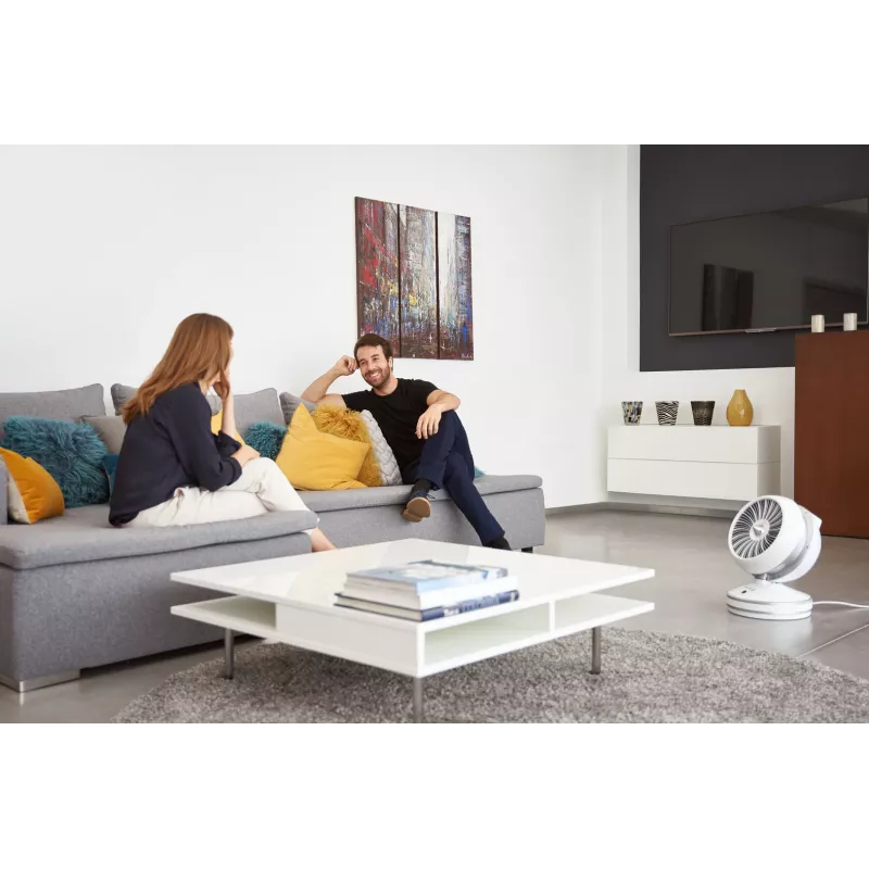 Rowenta HQ7152 Indoor White, Silver Fan electric space heater