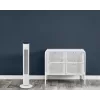 Household tower fan Rowenta Eole VU6871 White 40W AC 220-240V