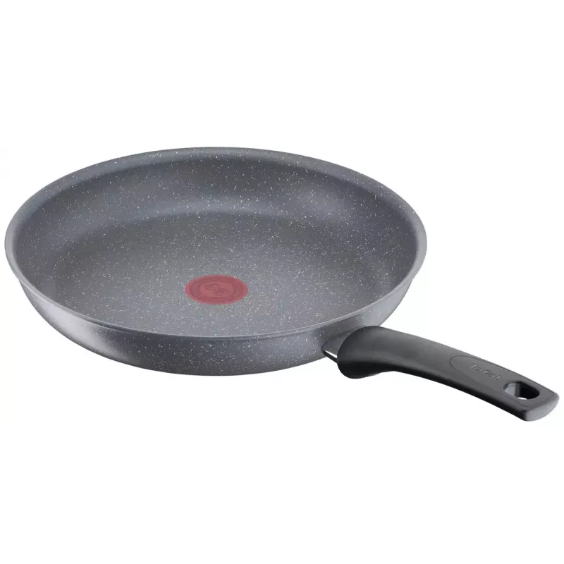 All-purpose pan Tefal Healthy Chef G15004 Round 24 cm Grey