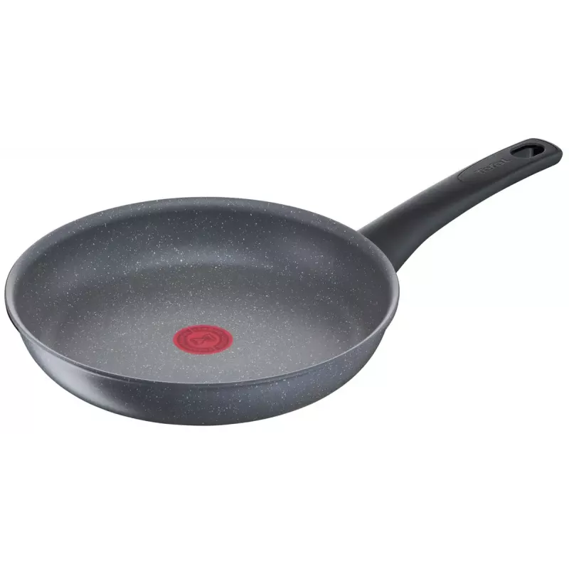 All-purpose pan Tefal Healthy Chef G15004 Round 24 cm Grey