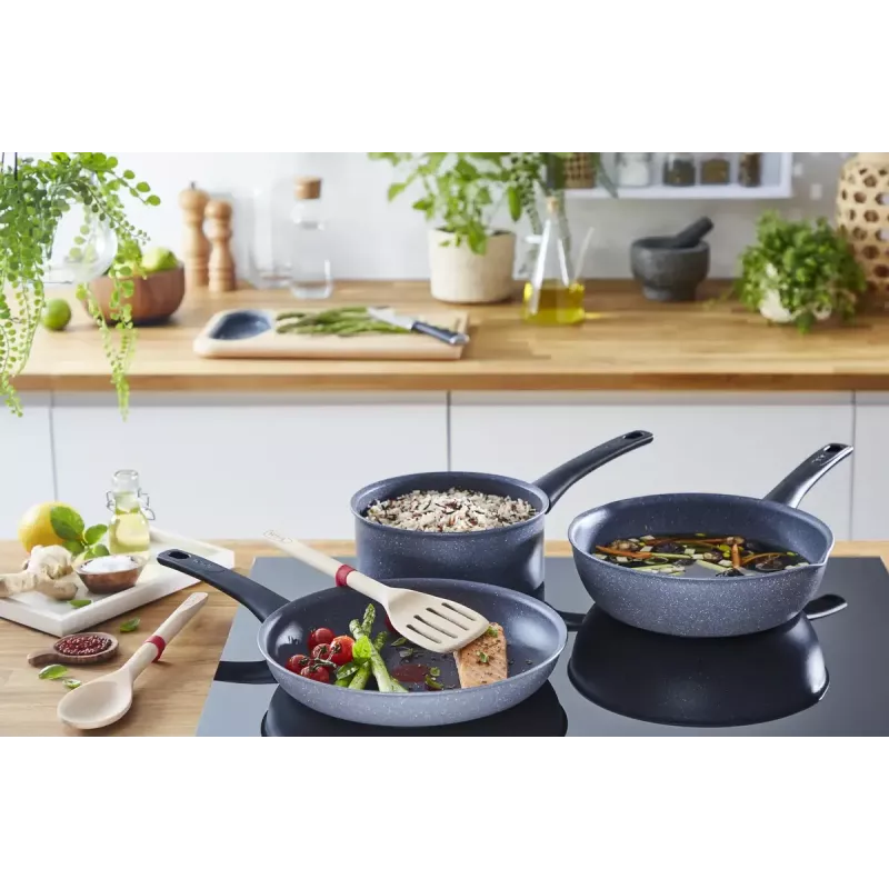 All-purpose pan Tefal Healthy Chef G15004 Round 24 cm Grey